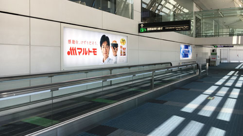 CMカット