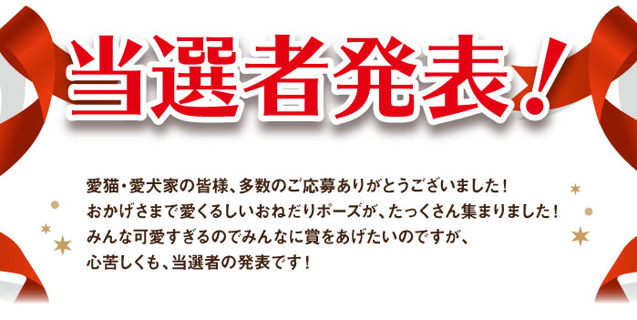 当選者発表