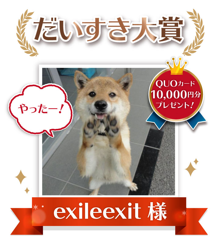 だいすき大賞