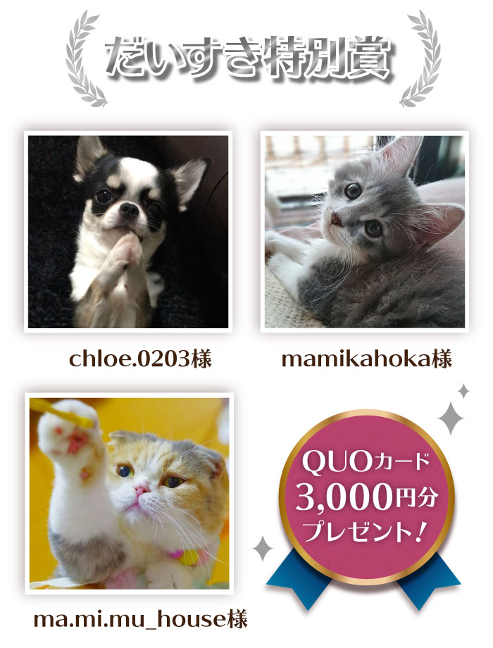 だいすき特別賞