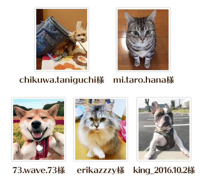 だいすき審査員賞3