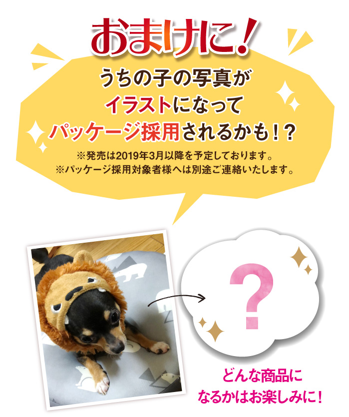 おまけに
