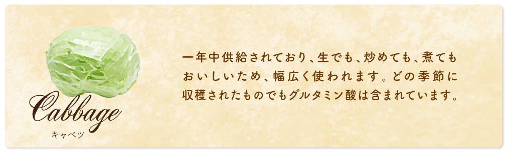 キャベツ