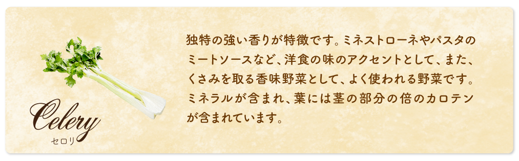 セロリ