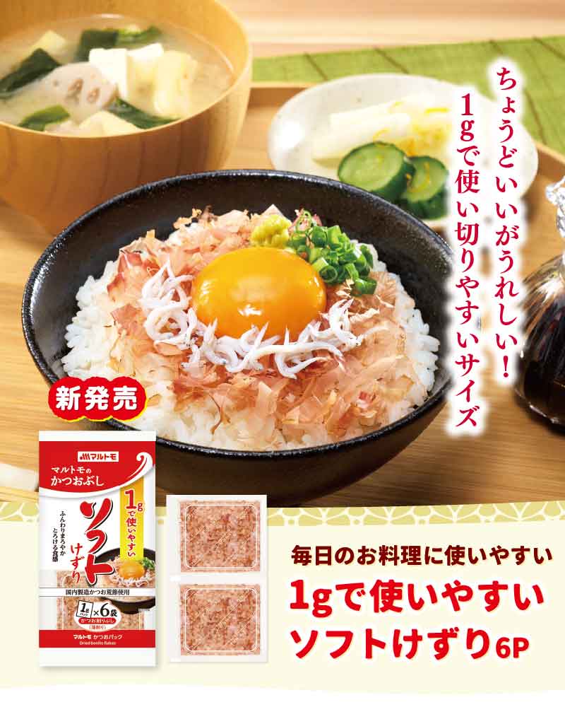 使い切りソフト