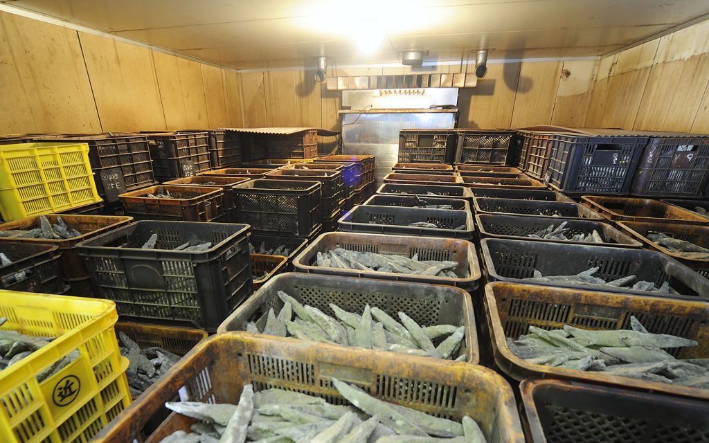 かつお節のかび付け