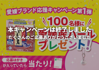 愛媛産パール プレゼント<br/>キャンペーン