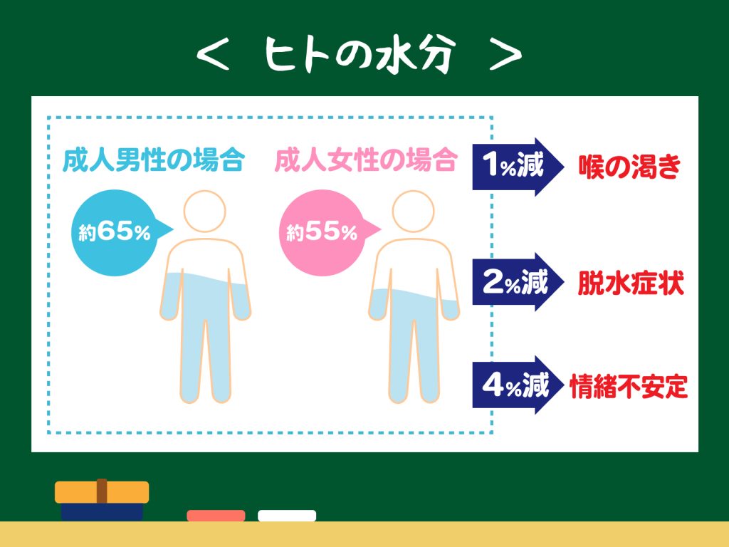 ヒトの水分