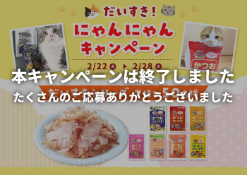 だいすき！<br>にゃんにゃんキャンペーン