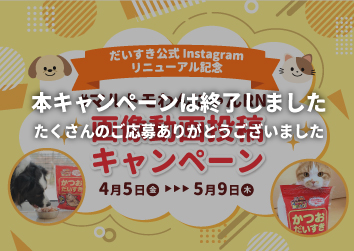 だいすき公式Instagramリニューアル記念<br>画像動画投稿キャンペーン