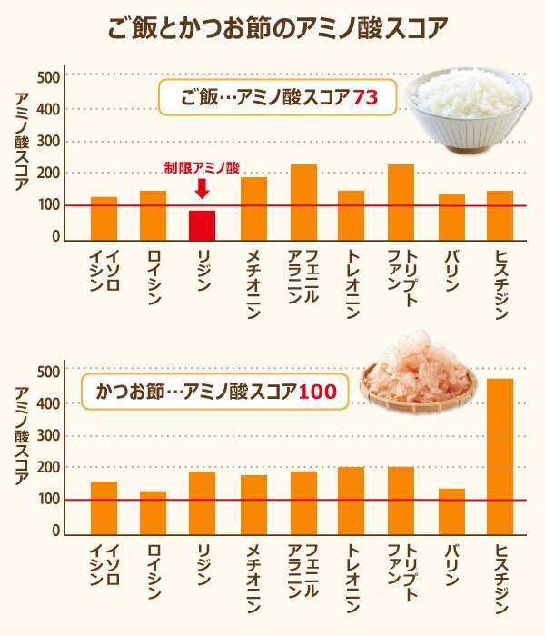 ご飯とかつお節のアミノ酸スコア