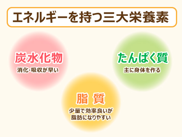 運動時のエネルギー源