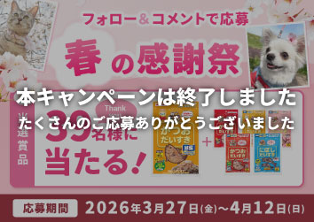 公式だいすきInstagramで簡単応募<br>フォロー＆コメントキャンペーン